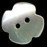 TROCHUS Shell Buttons
